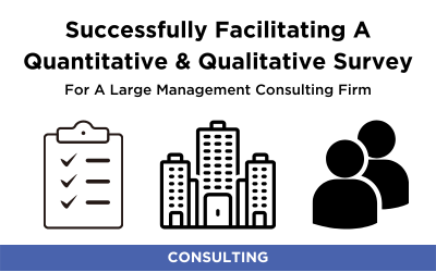Quantitative and Qualitative Research for a Management Consulting Firm